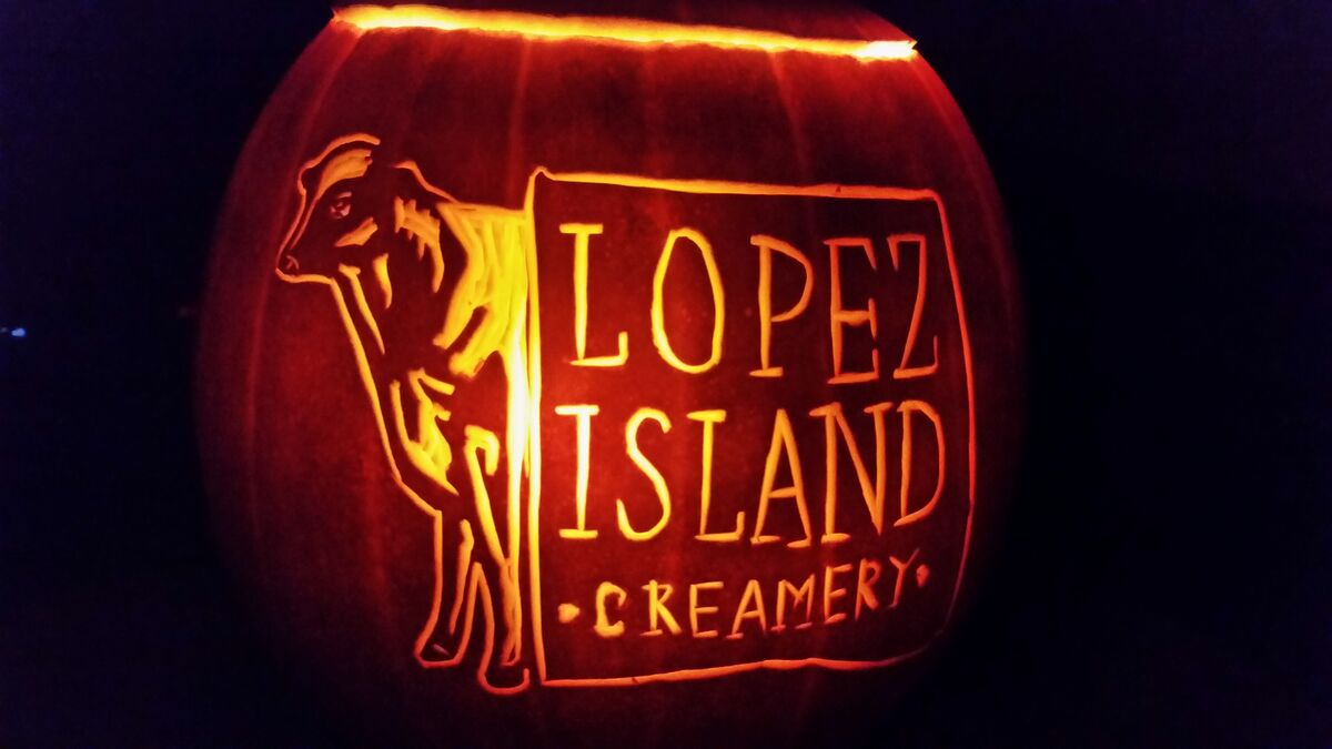 A pumpkin carved with the Lopez Island Creamery logo.