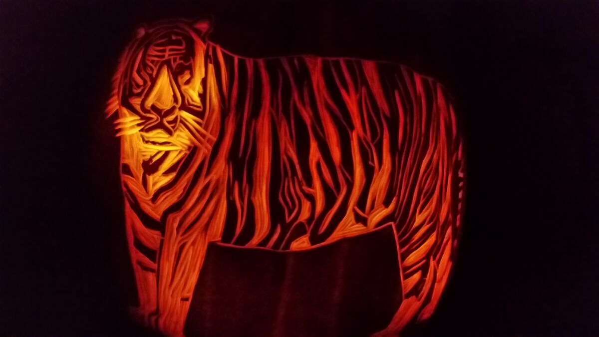 A pumpkin carved with a tiger.