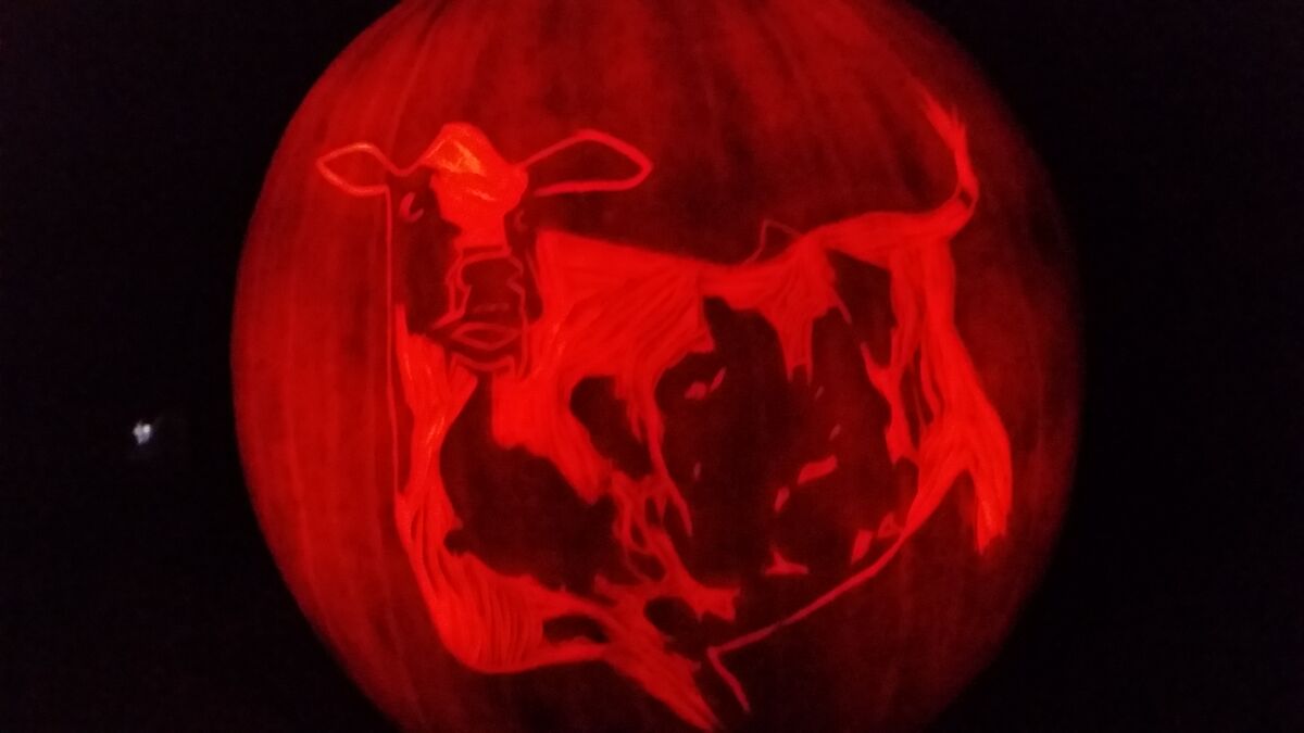 A pumpkin carved with the mad cow from The Little Vampire.