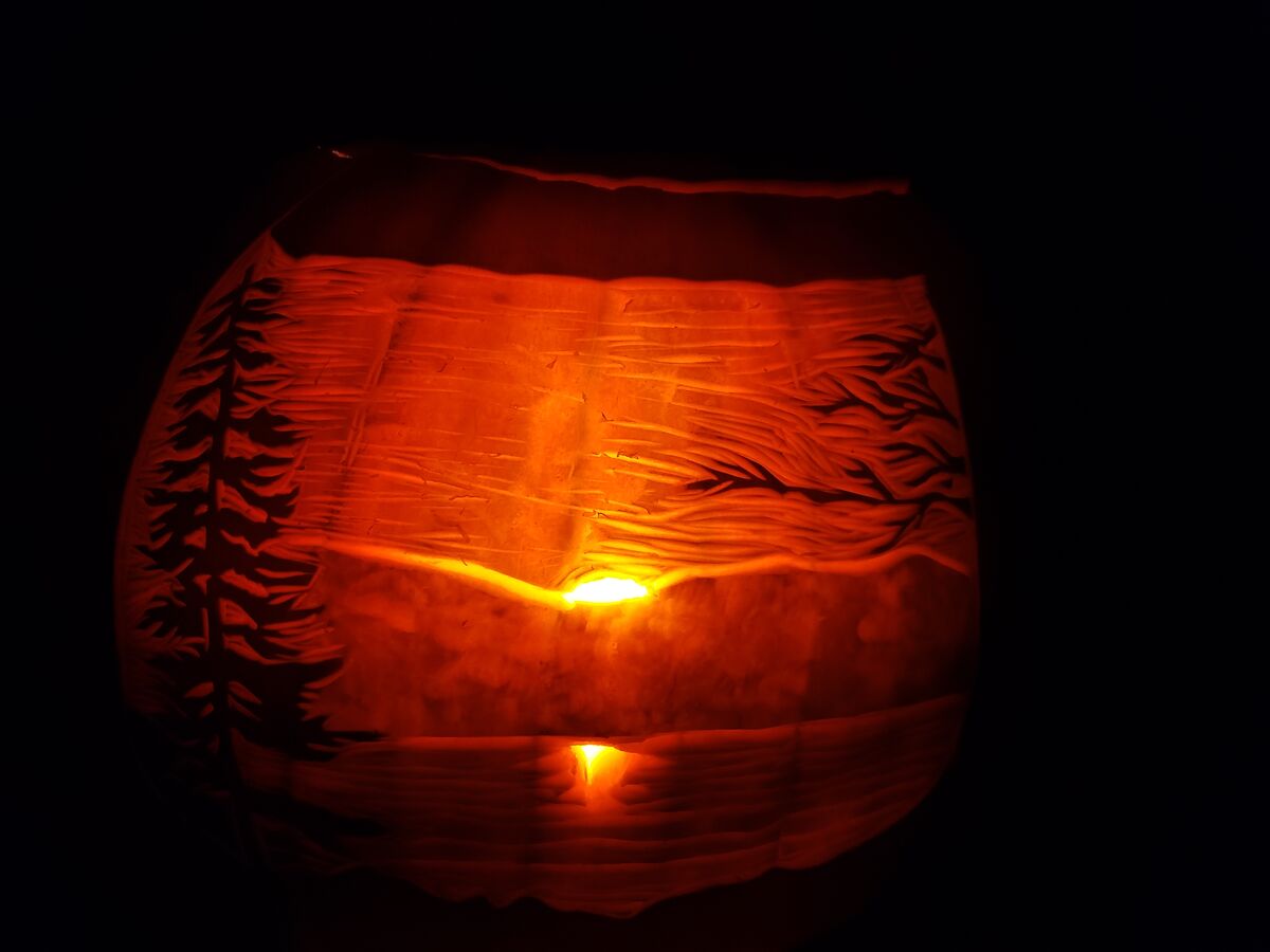 A pumpkin carved with a sunset over a lake.