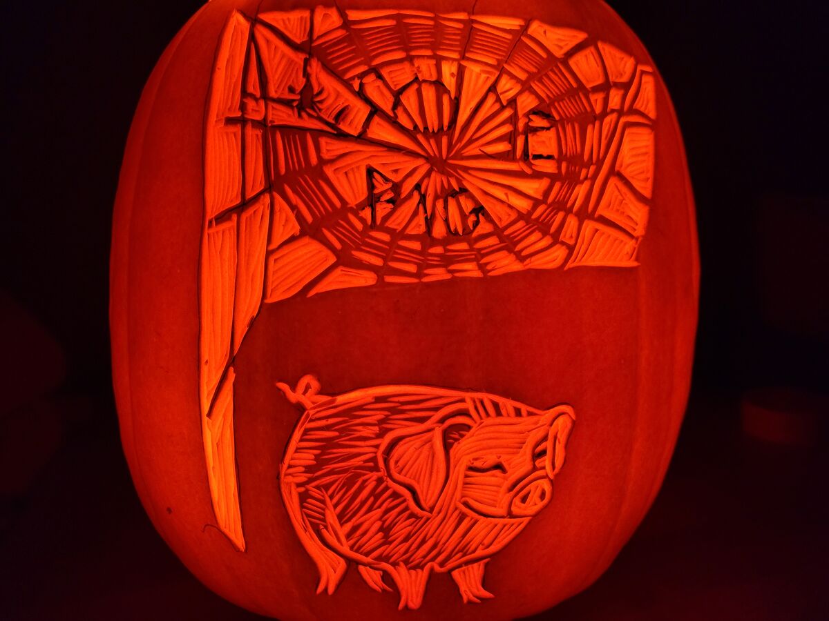 A pumpkin carved with imagery from Charlotte's Web.