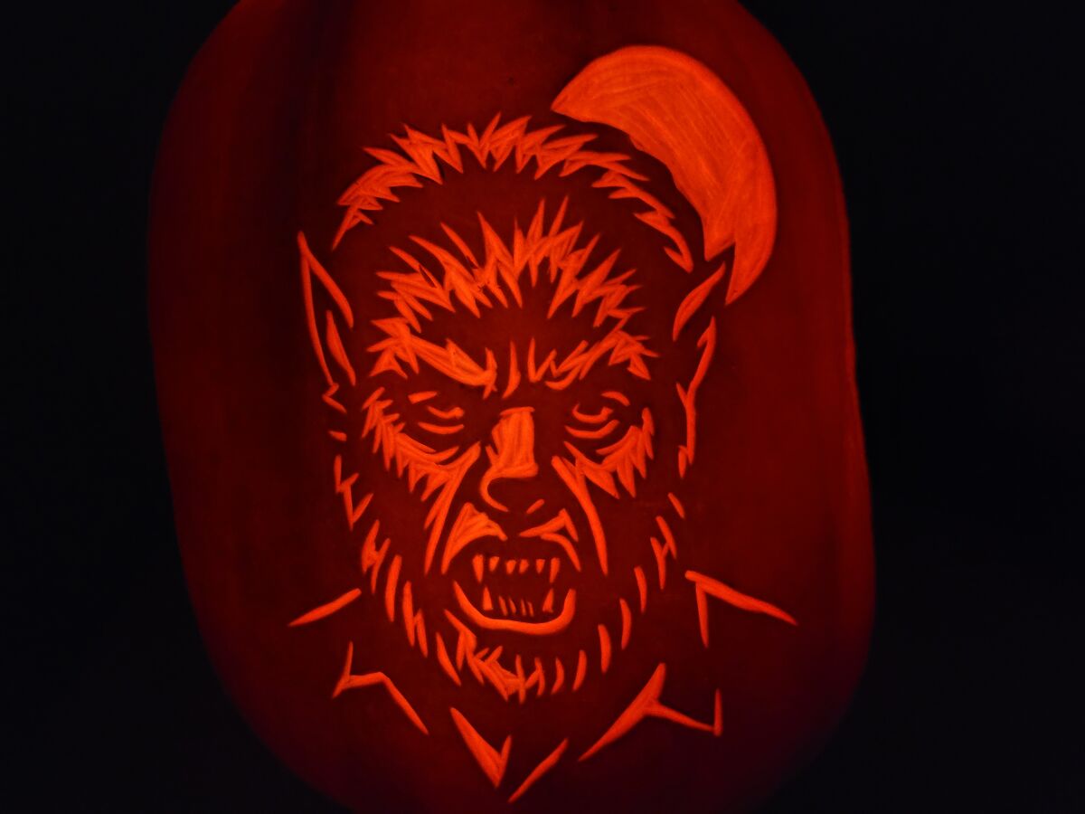 A pumpkin carved with the Wolfman.